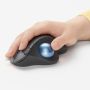 Logitech ERGO M575 for Business muis Rechtshandig RF-draadloos + Bluetooth Trackball 2000 DPI (910-006438) thumbnail