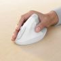Logitech Lift for Business muis Rechtshandig RF-draadloos + Bluetooth Optisch 4000 DPI (910-006496) thumbnail