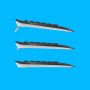 Logitech Advanced MK540 toetsenbord Inclusief muis USB QWERTY US International Zwart, Wit (920-008685) thumbnail