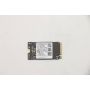 Lenovo 5SS0V42253 internal solid state drive 256 GB M.2 PCI Express (5SS0V42253) thumbnail