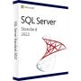 Microsoft OV-NL SQL Server Std. LIC/SA 3Y AqY1 AP SL (228-04778) thumbnail
