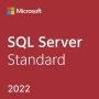 Microsoft SQL Server Standard - Licentie/Software Assurance ADD 1Y1Y (228-07281) thumbnail