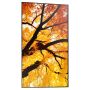 Sharp MultiSync M552 Digitale signage flatscreen 139,7 cm (55") LCD 550 cd/m² 4K Ultra HD Zwart Touchscreen (60006055) thumbnail