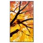 Sharp MultiSync M552 Digitale signage flatscreen 139,7 cm (55") LCD 550 cd/m² 4K Ultra HD Zwart Touchscreen (60006055) thumbnail