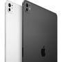 Apple iPad Pro 11 1TB Wi-Fi M5 Silver (MDWQ4TY/A) thumbnail