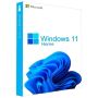 Microsoft WIN HOME N FPP 11 64-bit Eng Int EEA USB (HAM-00068) thumbnail