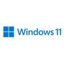 Microsoft Windows 11 Pro for Workstations 1 licentie(s) (HZV-00101) thumbnail