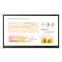 LG 65TR3BQ-B interactief whiteboard 165,1 cm (65") 3840 x 2160 Pixels Touchscreen Zwart (65TR3BQ-B) thumbnail