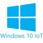 Microsoft OV-NL Windows Enterprise Device SA  3Y AqY1 AP thumbnail