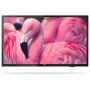 Philips 43HFL4014 Professional PrimeSu (43HFL4014/12) thumbnail
