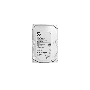 HP HHD250GB,7200,SATA 3.5,GAL-SGT (RP001225813) thumbnail
