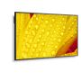 NEC MultiSync ME501 Digitale signage flatscreen 127 cm (50") VA 400 cd/m² 4K Ultra HD Zwart 18/7 (60005053) thumbnail
