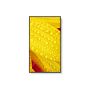 NEC MultiSync ME501 Digitale signage flatscreen 127 cm (50") VA 400 cd/m² 4K Ultra HD Zwart 18/7 (60005053) thumbnail
