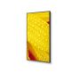 NEC MultiSync ME501 Digitale signage flatscreen 127 cm (50") VA 400 cd/m² 4K Ultra HD Zwart 18/7 (60005053) thumbnail
