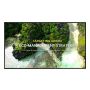 LG 75UL3Q-E beeldkrant Digitale signage flatscreen 190,5 cm (75") LED Wifi 350 cd/m² 4K Ultra HD Zwart WebOS 16/7 (75UL3Q-E) thumbnail