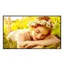 LG 75UL5Q-E beeldkrant Digitale signage flatscreen 190,5 cm (75") LED Wifi 500 cd/m² 4K Ultra HD Zwart WebOS 24/7 (75UL5Q-E) thumbnail