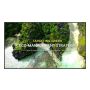 LG 86UL3Q-E beeldkrant Digitale signage flatscreen 2,18 m (86") LED Wifi 350 cd/m² 4K Ultra HD Zwart WebOS 16/7 (86UL3Q-E) thumbnail