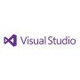 Microsoft Visio Pro 2021 Windows Spaans (D87-07636) thumbnail