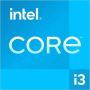 Intel Core i3-1315URE Proc (FJ8071505225705) thumbnail