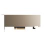 PNY Nvidia A2 Passive PCIe 16GB LP (900-2G179-0020-100) thumbnail