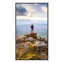 Sharp PN-E439 Digitale signage flatscreen 109,2 cm (43") LCD 350 cd/m² 4K Ultra HD Zwart 16/7 (60006181) thumbnail