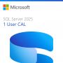 Microsoft SQL Server 2025 1 User CAL (EP2-59768) thumbnail