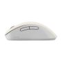 ASUS Wireless Mouse MD102 muis Universeel Rechtshandig RF-draadloos + Bluetooth Optisch 1600 DPI (90XB0900-BMU020) thumbnail