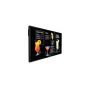 Philips 43BDL3117P/00 computer monitor 109,2 cm (43") 3840 x 2160 Pixels 4K Ultra HD LCD Zwart (43BDL3117P/00) thumbnail