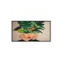 Philips 43BDL4511D/00 beeldkrant Digitaal A-kaart 109,2 cm (43") 500 cd/m² 4K Ultra HD Zwart 24/7 (43BDL4511D/00) thumbnail