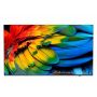 Philips 43HFL6214U 109,2 cm (43") 4K Ultra HD Smart TV Wifi Antraciet 400 cd/m² Oprolbaar scherm (43HFL6214U/12) thumbnail