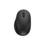 Philips SPK7507B/00 muis Rechtshandig RF Draadloos Optisch 3200 DPI (SPK7507B/00) thumbnail