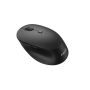 Philips SPK7507B/00 muis Rechtshandig RF Draadloos Optisch 3200 DPI (SPK7507B/00) thumbnail