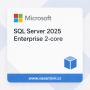 Microsoft OVS/SQL CAL 2025 All Lng OLV E Each AE A (EP2-70842) thumbnail