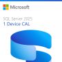 Microsoft CLOUD CSP SQL Svr 2025 D-CAL [P] (DG7GMGF0VNHV-0001) thumbnail