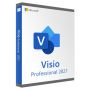 Microsoft Visio Professional 2021 (D87-07606) thumbnail