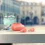 Philips 2000 series TAT2206PK/00 hoofdtelefoon/headset True Wireless Stereo (TWS) In-ear Oproepen/muziek Bluetooth Roze (TAT2206PK/00) thumbnail