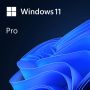 Microsoft Windows 11 Pro for Workstations OEM DVD 64-bit Slowaaks (HZV-00123) thumbnail