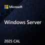 Microsoft OEM Microsoft Windows Server 2025 - 1er CAL Device OEM (EP2-17484) thumbnail