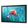 Samsung 13" Small Signage QBR-M (LH13QBRMBGCXEN) thumbnail