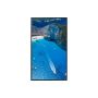 Samsung 75" Window Signage OMA 4K (LH75OMAEBGBXEN) thumbnail