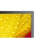 NEC MultiSync ME431 Digitale signage flatscreen 109,2 cm (43") IPS 400 cd/m² 4K Ultra HD Zwart 18/7 (60005048) thumbnail