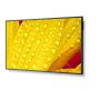 NEC MultiSync ME431 Digitale signage flatscreen 109,2 cm (43") IPS 400 cd/m² 4K Ultra HD Zwart 18/7 (60005048) thumbnail