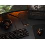 Seagate Game Drive FireCuda externe harde schijf 2 TB Micro-USB B 3.2 Gen 1 (3.1 Gen 1) Zwart (STKL2000400) thumbnail