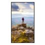 Sharp PN-E439 Digitale signage flatscreen 109,2 cm (43") LCD 350 cd/m² 4K Ultra HD Zwart 16/7 (PNE439) thumbnail