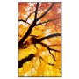 Sharp MultiSync M552 Digitale signage flatscreen 139,7 cm (55") LCD 550 cd/m² 4K Ultra HD Zwart Touchscreen (PNM552) thumbnail