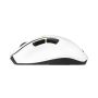 ASUS MD105 MOUSE/VT-GN muis Universeel Rechtshandig RF-draadloos + Bluetooth 2400 DPI (90XB0AH0-BMU010) thumbnail