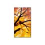 Sharp MultiSync M322 Digitale signage flatscreen 81,3 cm (32") LCD 550 cd/m² Full HD Zwart (60006052) thumbnail