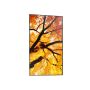 Sharp MultiSync M432 Digitale signage flatscreen 108 cm (42.5") LCD 550 cd/m² 4K Ultra HD Zwart (60006053) thumbnail