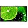 NEC MultiSync E498 124,5 cm (49") IPS 350 cd/m² 4K Ultra HD Zwart 16/7 (L50E498) thumbnail