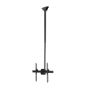 StarTech.com TV Plafondbeugel, Full-Motion Universele Ophangbeugel, Hangende VESA Beugel voor Single 32”-75" TVs / Displays, Kantelen/Zwenken, In hoogte verstelbare telescopische paal (FLATPNLCEIL) thumbnail